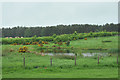 Artificial pond near Hardhill Farm