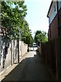 Looking towards Mayfield Avenue on the path from Lynwood Avenue