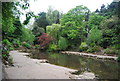 Chinese lake, Peasholm Park