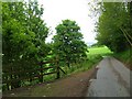 Road heading away from Craiglochie House