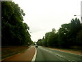 Bus lanes on Derby Road