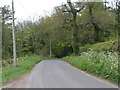 ST6822 : Lane from Stowell to Templecoombe by Rob Purvis