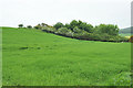 Field near Park Farm