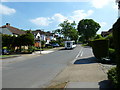 Approaching the junction of Dale Wood Road and Red Cedars Road