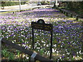 Crocus Corner, Heaton Moor