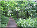 Footpath to Brook Road, Cheadle