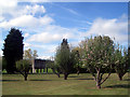 Orchard in the Sewage Works