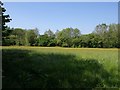 Meadow near Lower Vexford