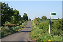 SK6935 : Looking up Fern Hill to the Cropwell Road by Kate Jewell