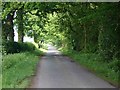 Country lane near Ryton Heath Farm