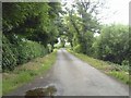 O1550 : Country Road, Co Dublin by C O'Flanagan
