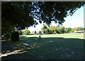 Cyclist in Oaklands Park