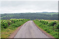 Minor road near Easter Cotterton farm