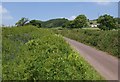 Lane to Elworthy Barrows