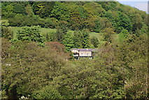 SE9690 : Hackness Grange Hotel in the trees by N Chadwick