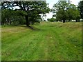 NS8379 : Antonine Wall west of Rough Castle fort by Lairich Rig