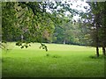 Looking towards a fairway on Camperdown golf course