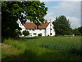 Field corner and house beyond