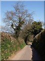 Lane north of Lydeard Cross