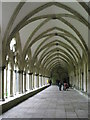 Cloisters, Salisbury Cathedral- mid section