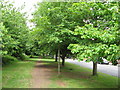 Footpath beside Sully Terrace, Penarth