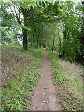 SD4864 : Footpath to Caton by Alexander P Kapp