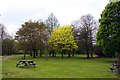 Picnic area at the arboretum