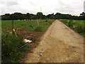 Footpath junction near Willet