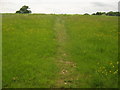 Footpath towards Blacklands Wood