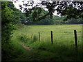 Footpath near Goodwick Moor