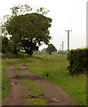 Bridleway to Rufforth