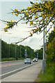 Broom on the bypass