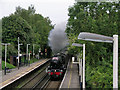 Chelsfield station with passing steam special