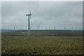 SN9197 : Carno Wind Farm by Philip Halling