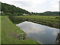 SS4622 : River Torridge upstream from Annery Kiln by Dr Duncan Pepper