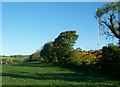 Pasture land adjoining Playing Fields