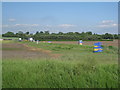 Crates awaiting the crop