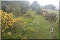 Feeder Catchwater drain to Blackmoorfoot Conduit