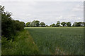 Footpath from Merryfield Park to Ripley