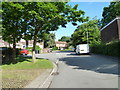 Approaching the junction of Mole Hill and Dogwood Dell