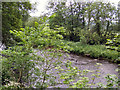 River Goyt from Otterspool View