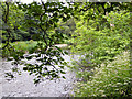 River Goyt from Otterspool View