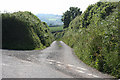 Ermington: lane to Waye Farm