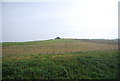 Field by the Osgodby bypass