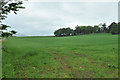 Farmland near Daviot