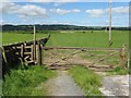 Stile and field-side path