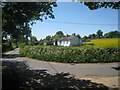 Bungalow on Lossenham Lane