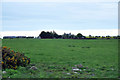 Farmland and South Crimongorth Farm