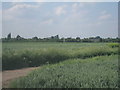 View towards Keadby Bridge