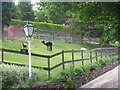 SE0630 : Llamas grazing in the grounds of Rocks Cottage! - Union Lane by Betty Longbottom